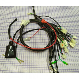 Жгут Электропроводки WELS EVO125 (315007162002)