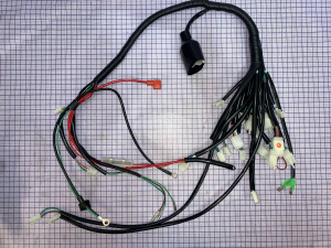 Жгут электропроводки EVO.M (315007132001)