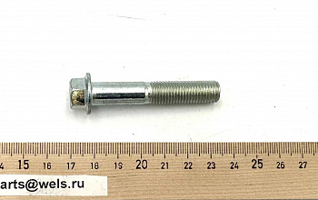 Болт с фланцем, M10х55х1.25, ATV125 THUNDER (105015)