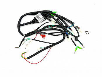 Жгут Электропроводки (под спидометр) WELS EVOX125 N1 (315007222001)