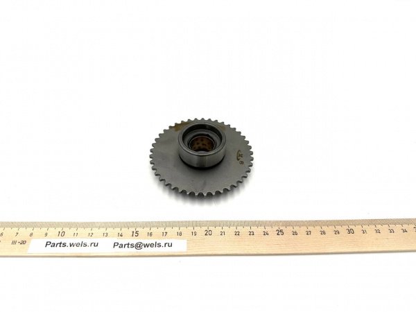 259449005001 1