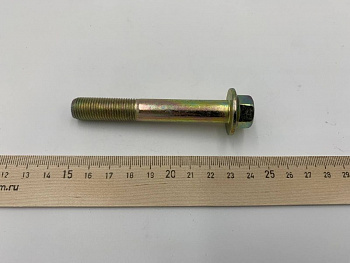 Болт М12х1.25х80мм WELS EVO125 N1 (401002063001)